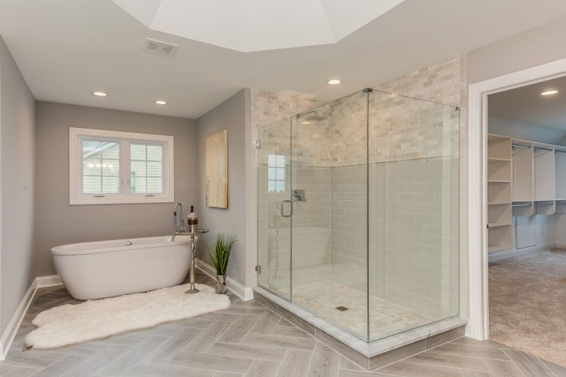 Walk-In Shower with Glass Partition
